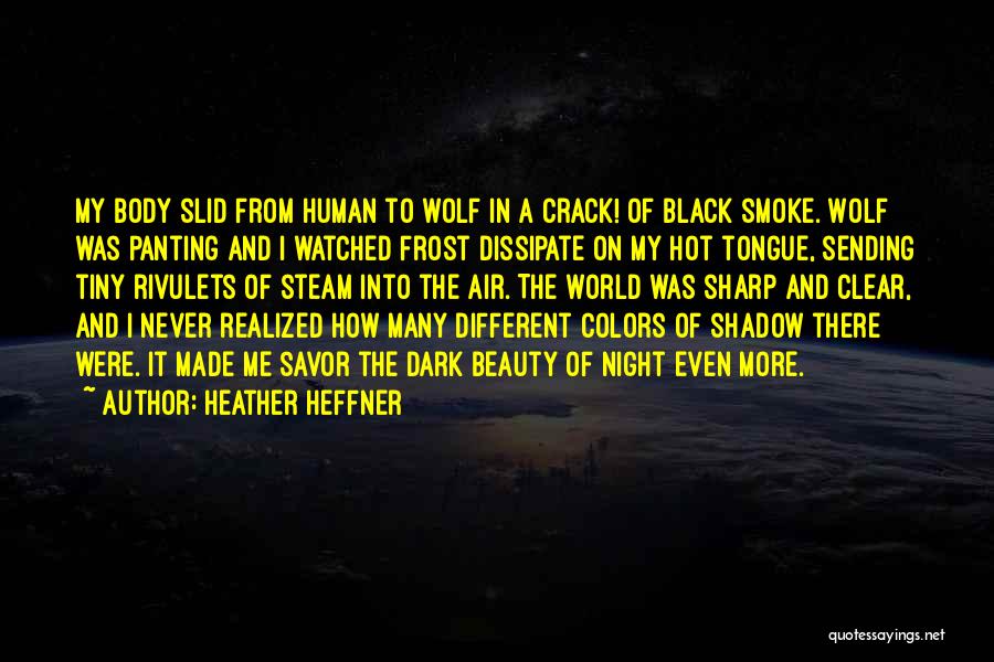 Night Shadow Quotes By Heather Heffner