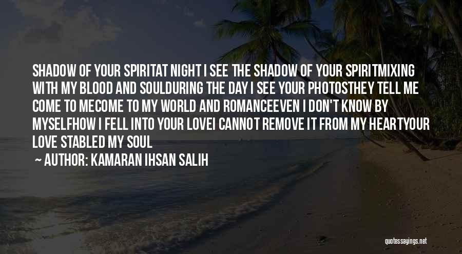 Night Shadow Quotes By Kamaran Ihsan Salih
