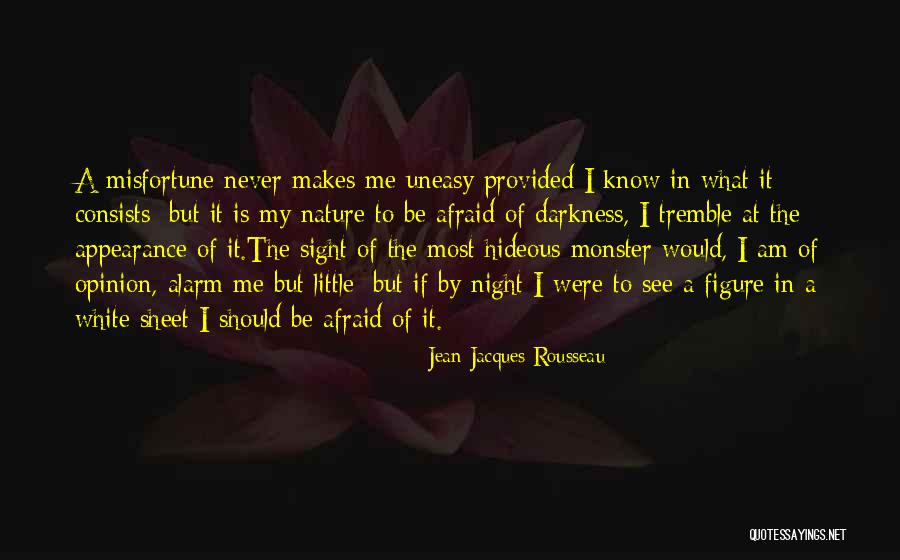 Night Sight Quotes By Jean-Jacques Rousseau