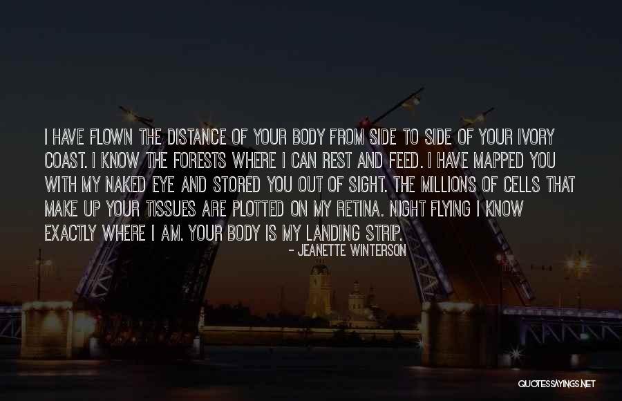 Night Sight Quotes By Jeanette Winterson