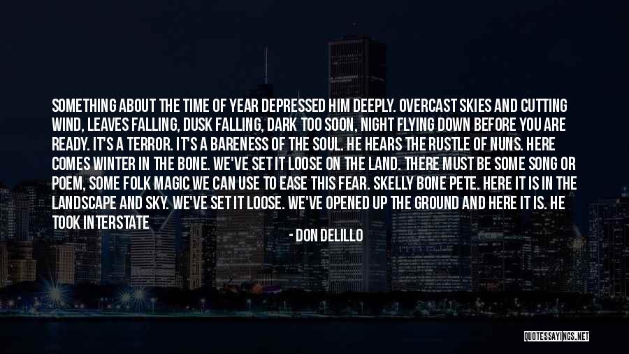 Night Skies Quotes By Don DeLillo