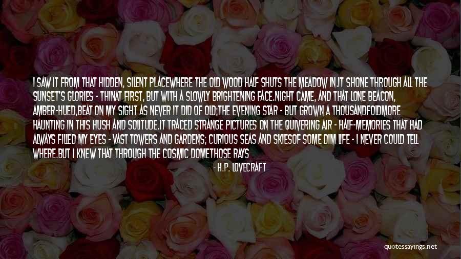Night Skies Quotes By H.P. Lovecraft Night Skies Quotes By H.P. Lovecraft