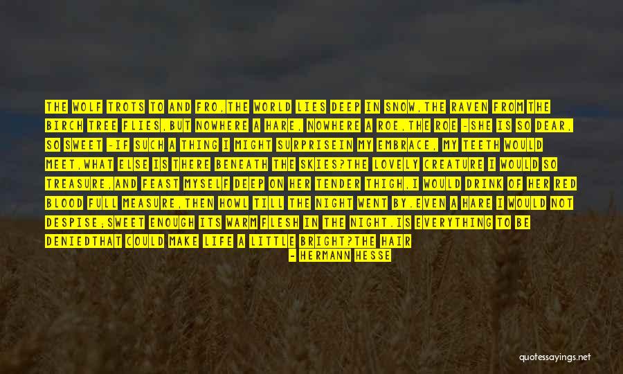 Night Skies Quotes By Hermann Hesse Night Skies Quotes By Hermann Hesse