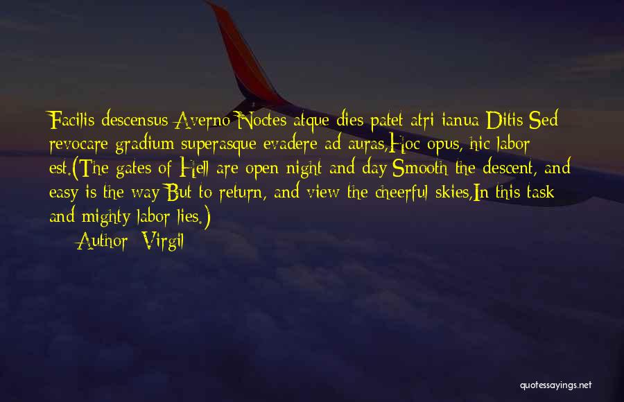 Night Skies Quotes By Virgil