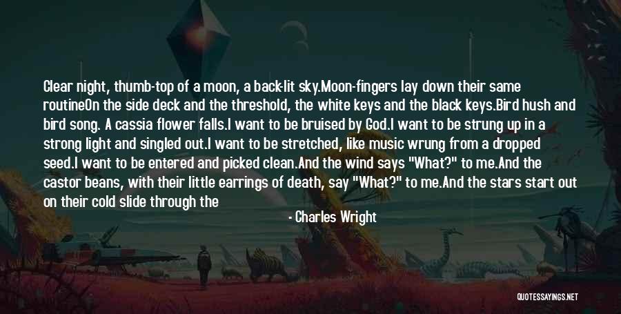 Night Sky And Moon Quotes By Charles Wright