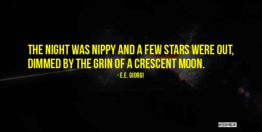 Night Sky And Moon Quotes By E.E. Giorgi