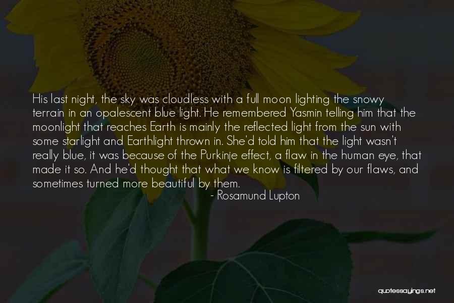 Night Sky And Moon Quotes By Rosamund Lupton