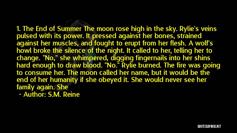 Night Sky And Moon Quotes By S.M. Reine