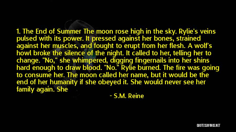 Night Sky And Moon Quotes By S.M. Reine