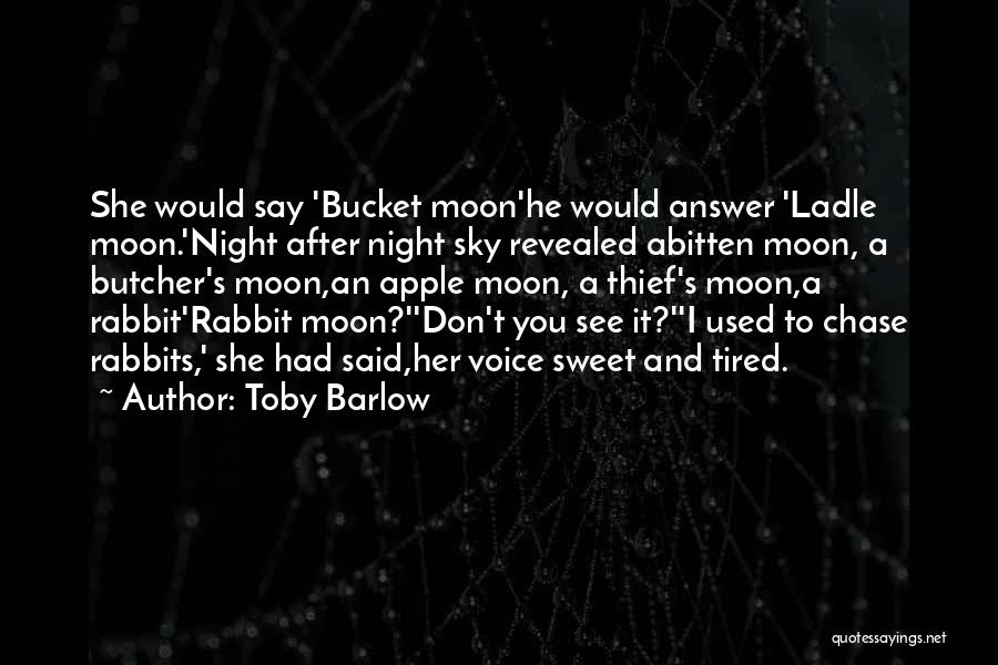 Night Sky And Moon Quotes By Toby Barlow