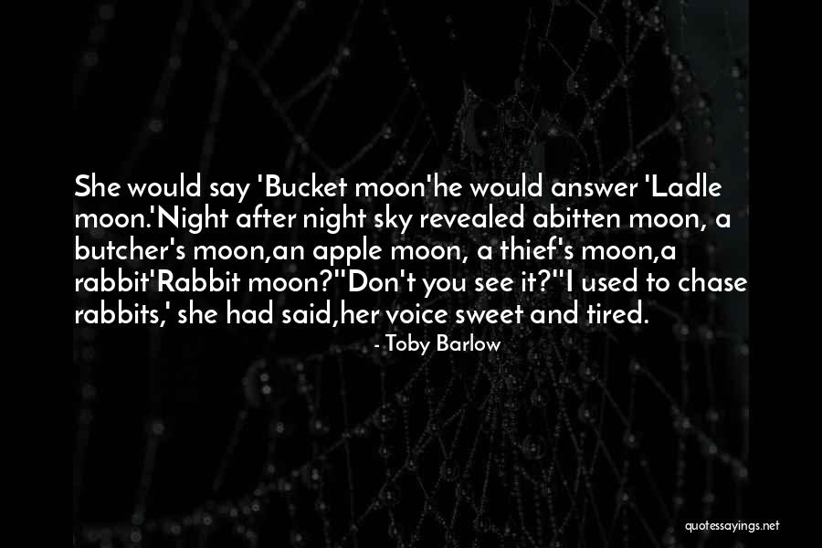 Night Sky And Moon Quotes By Toby Barlow