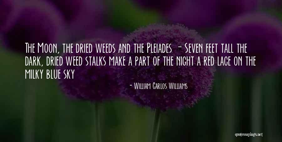 Night Sky And Moon Quotes By William Carlos Williams