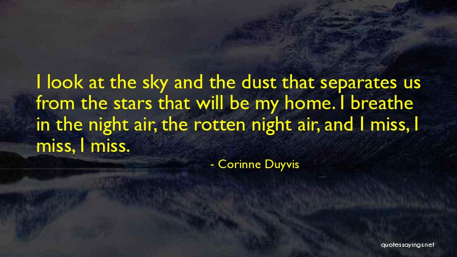 Night Sky And Stars Quotes By Corinne Duyvis