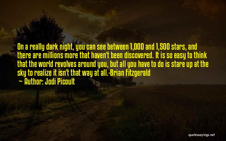 Night Sky And Stars Quotes By Jodi Picoult