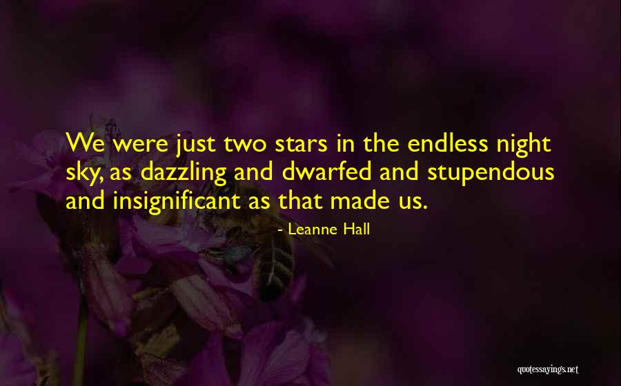 Night Sky And Stars Quotes By Leanne Hall