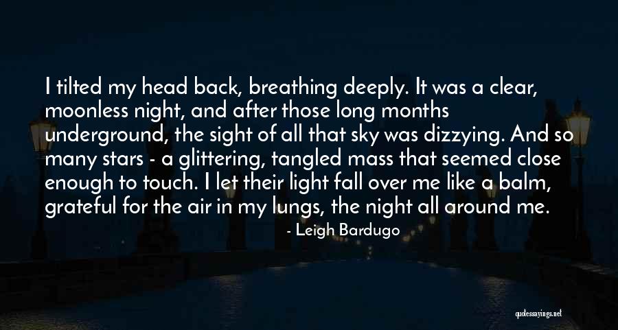 Night Sky And Stars Quotes By Leigh Bardugo