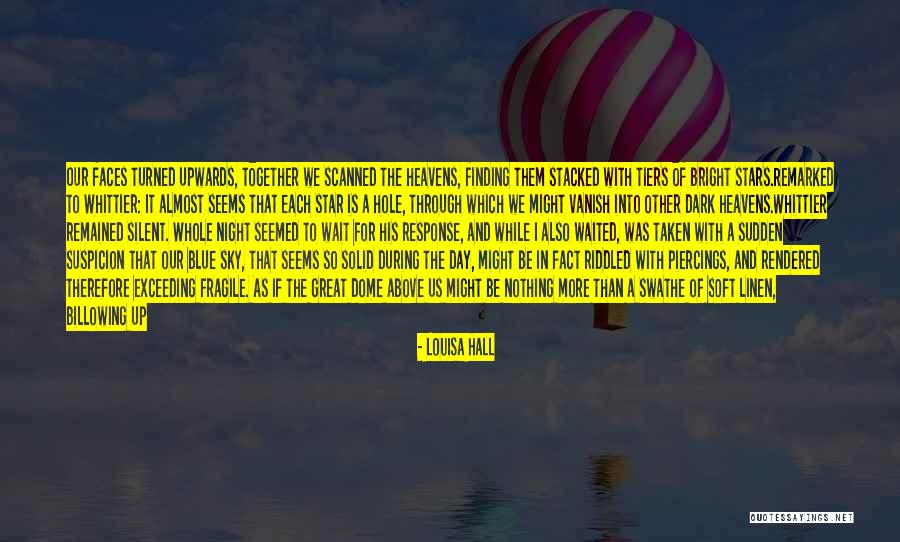 Night Sky And Stars Quotes By Louisa Hall