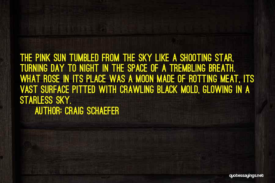 Night Sky Moon Quotes By Craig Schaefer
