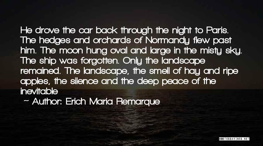 Night Sky Moon Quotes By Erich Maria Remarque