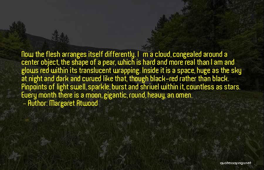 Night Sky Moon Quotes By Margaret Atwood Night Sky Moon Quotes By Margaret Atwood