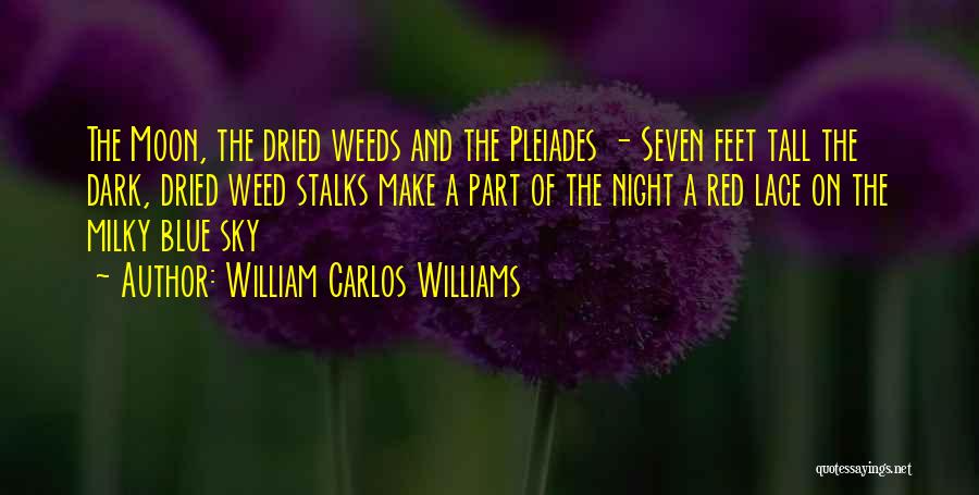 Night Sky Moon Quotes By William Carlos Williams