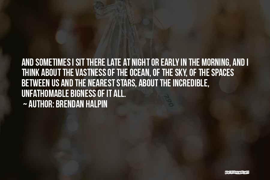 Night Sky Quotes By Brendan Halpin