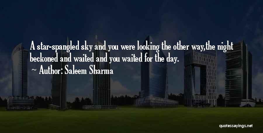 Night Sky Quotes By Saleem Sharma