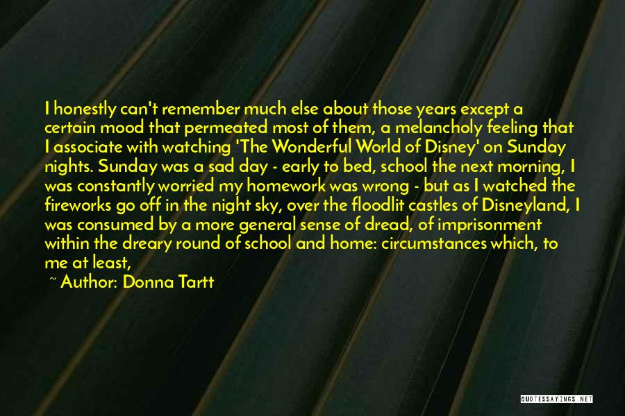 Night Sky Sad Quotes By Donna Tartt