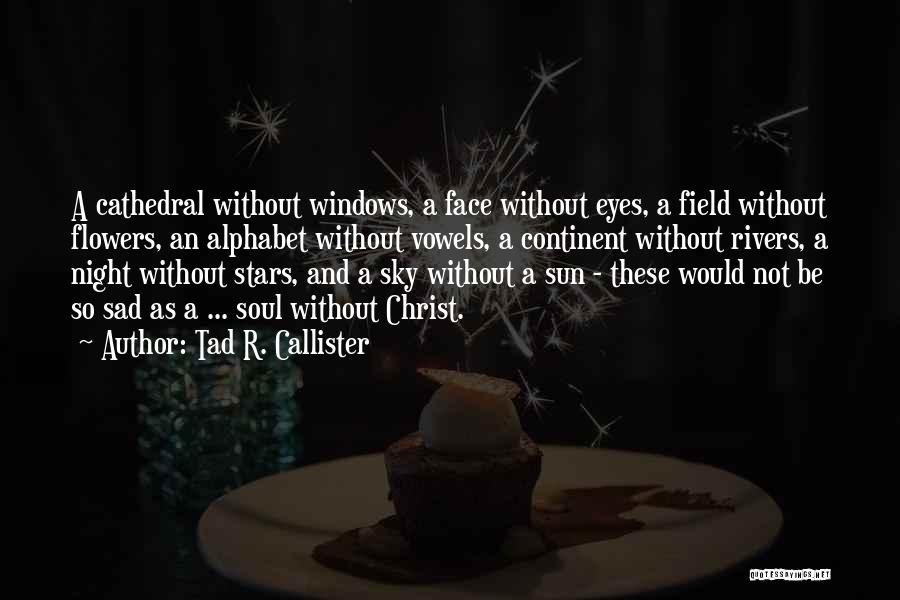 Night Sky Sad Quotes By Tad R. Callister