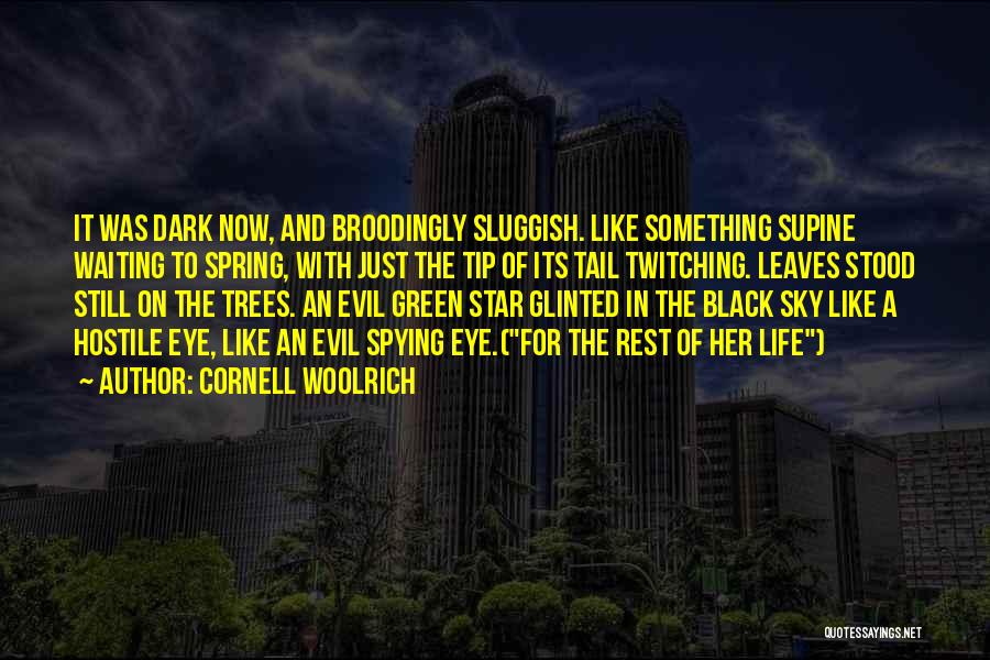 Night Sky Star Quotes By Cornell Woolrich