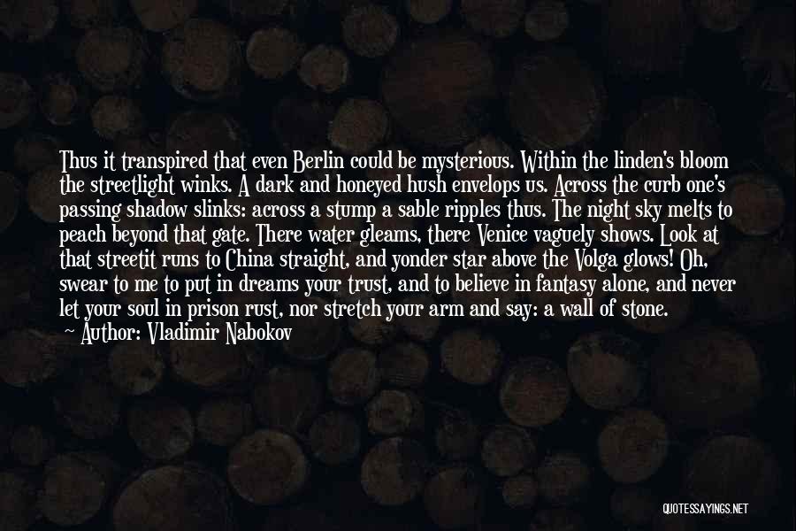Night Sky Star Quotes By Vladimir Nabokov