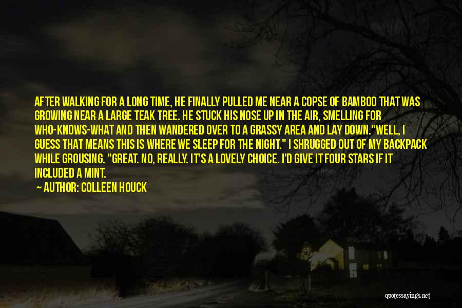 Night Sleep Well Quotes By Colleen Houck