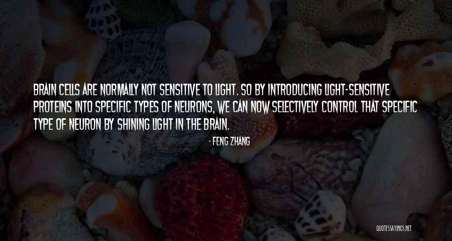 Night Soup Quotes By Feng Zhang Night Soup Quotes By Feng Zhang