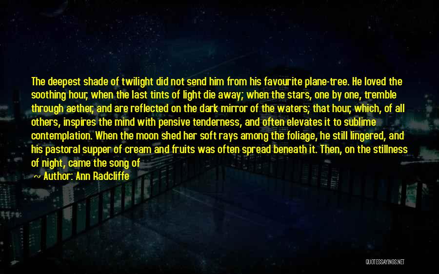 Night Stars Moon Quotes By Ann Radcliffe