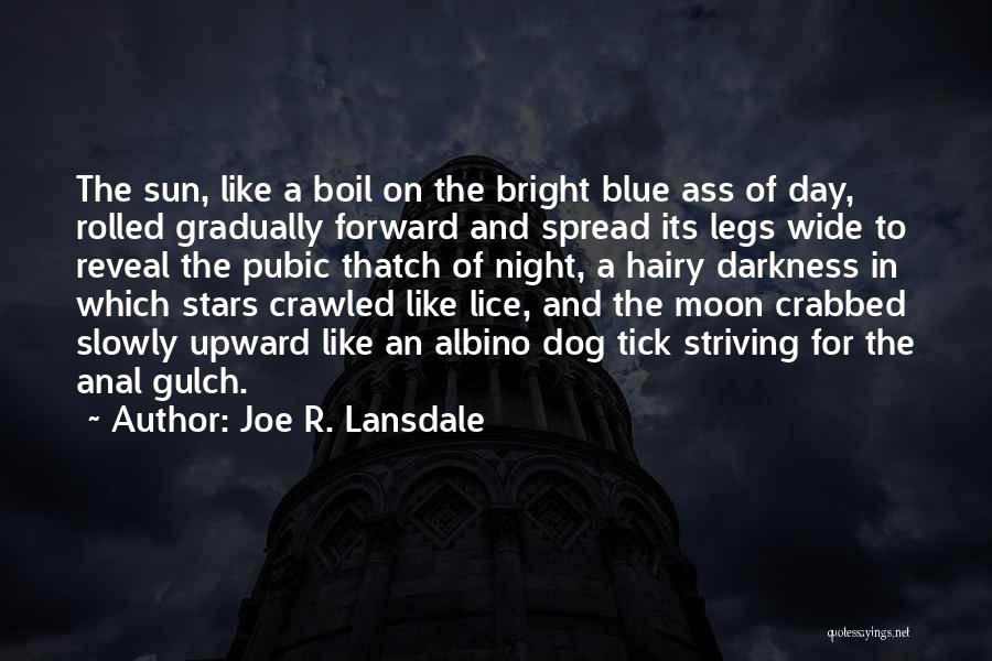 Night Stars Moon Quotes By Joe R. Lansdale