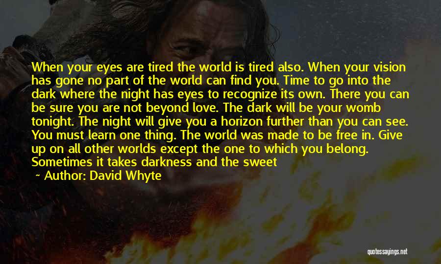 Night Sweet Love Quotes By David Whyte