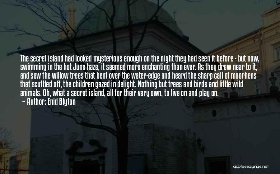 Night Swimming Quotes By Enid Blyton