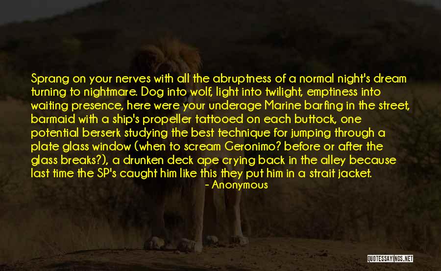 Night Time Dream Quotes By Anonymous Night Time Dream Quotes By Anonymous