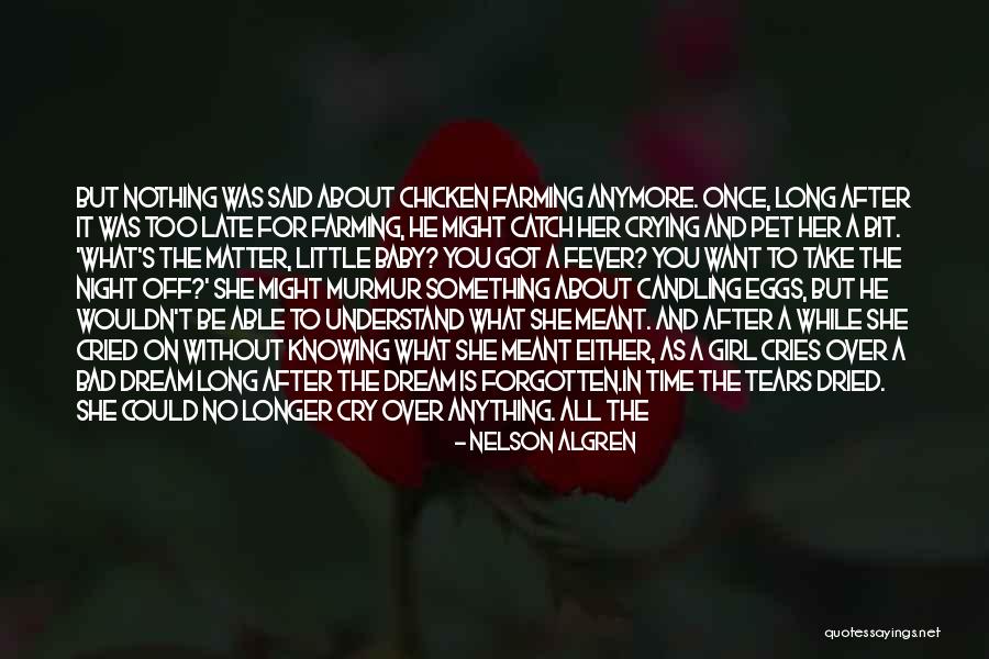 Night Time Dream Quotes By Nelson Algren Night Time Dream Quotes By Nelson Algren