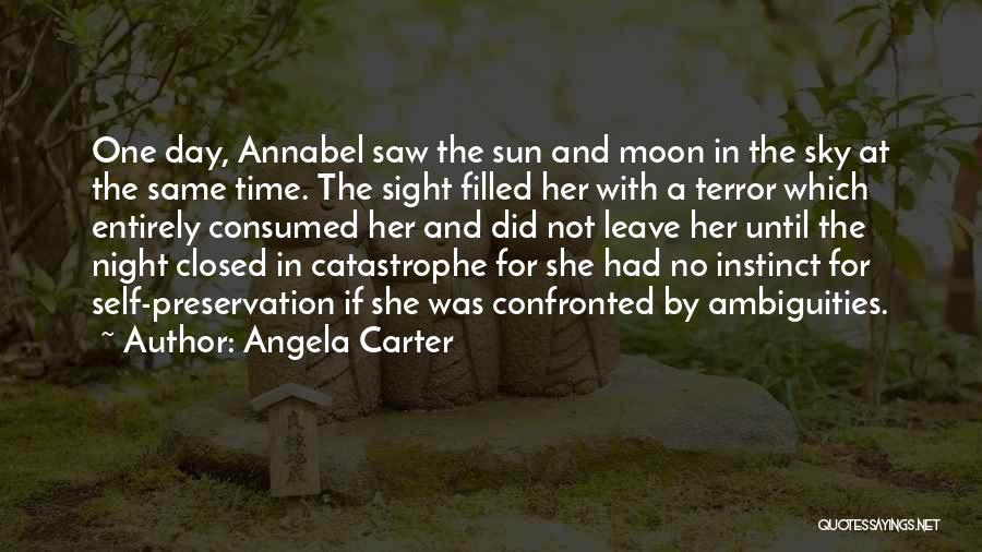 Night Time Sky Quotes By Angela Carter