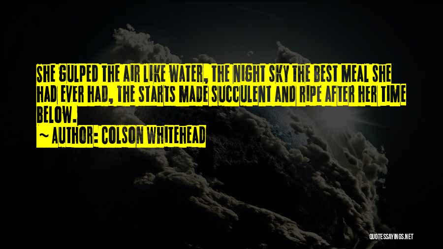 Night Time Sky Quotes By Colson Whitehead