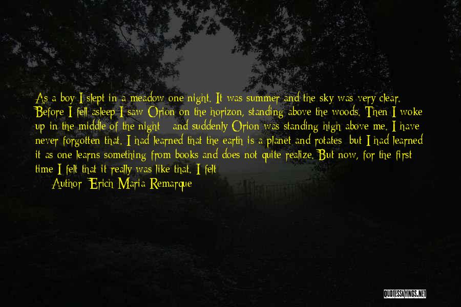 Night Time Sky Quotes By Erich Maria Remarque