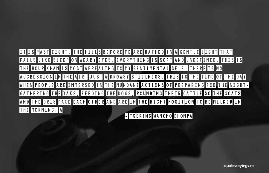 Night Time Sleep Quotes By Tsering Wangmo Dhompa Night Time Sleep Quotes By Tsering Wangmo Dhompa