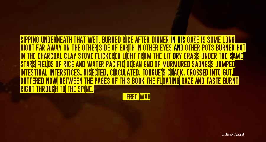 Night Under The Stars Quotes By Fred Wah