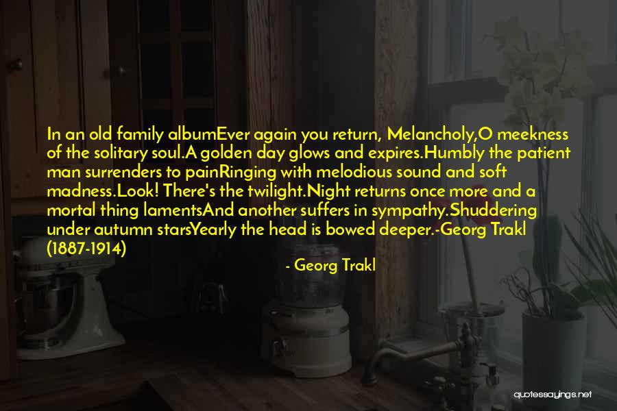 Night Under The Stars Quotes By Georg Trakl