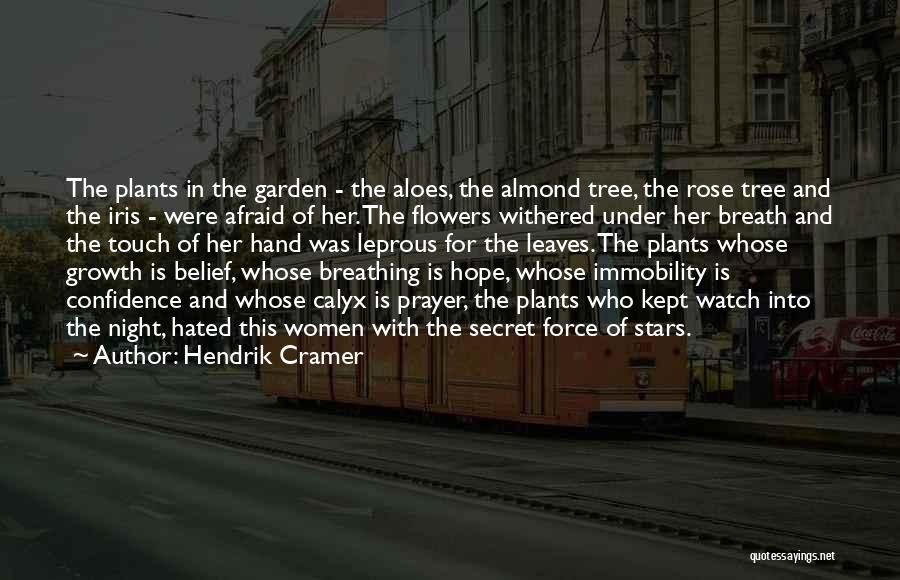 Night Under The Stars Quotes By Hendrik Cramer