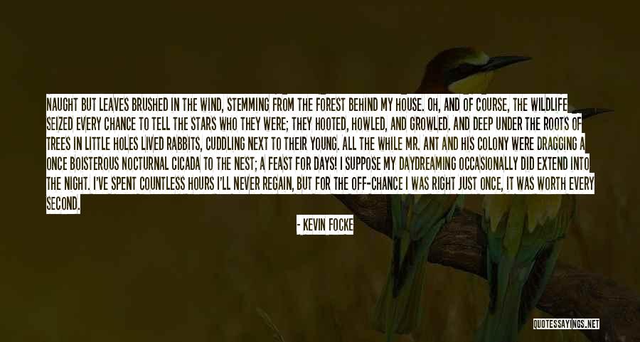 Night Under The Stars Quotes By Kevin Focke