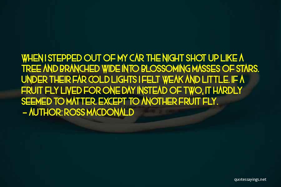 Night Under The Stars Quotes By Ross Macdonald