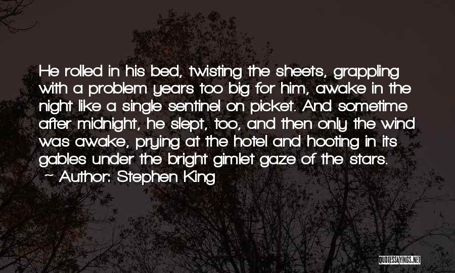Night Under The Stars Quotes By Stephen King