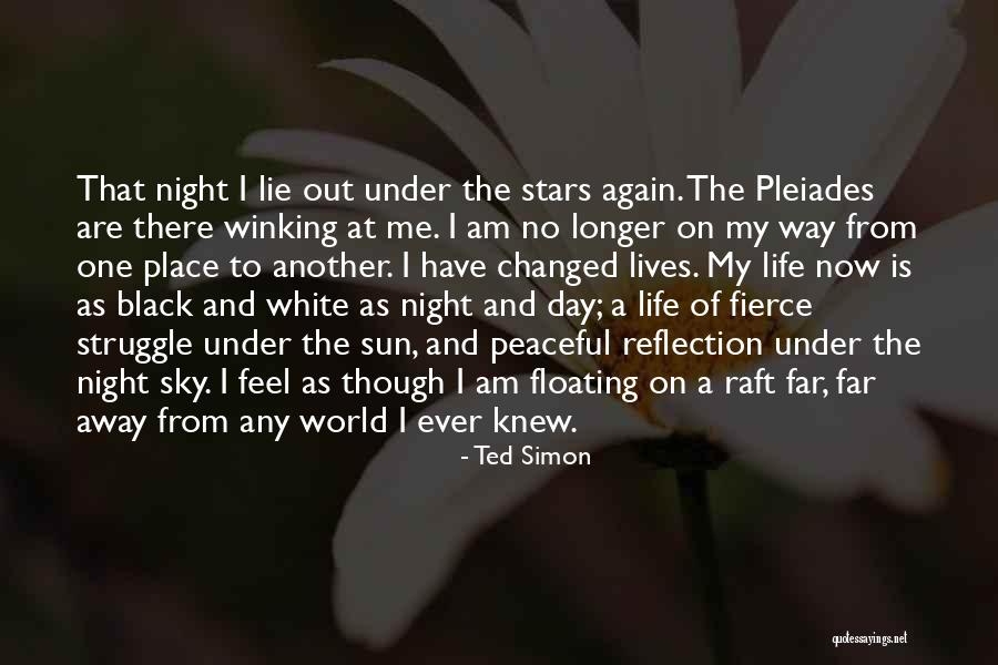 Night Under The Stars Quotes By Ted Simon